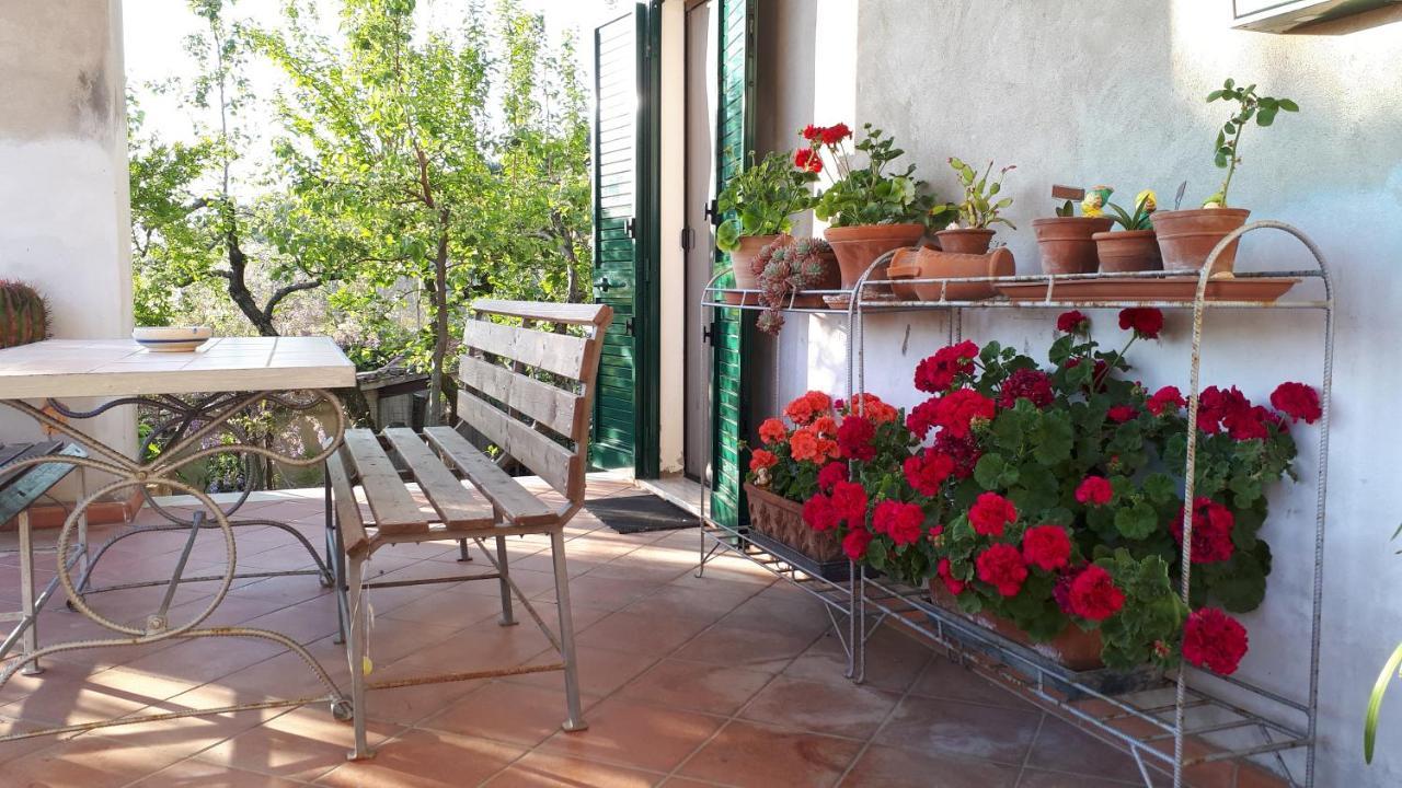 Appartamento Casa di Giulia  Santa Luce Esterno foto