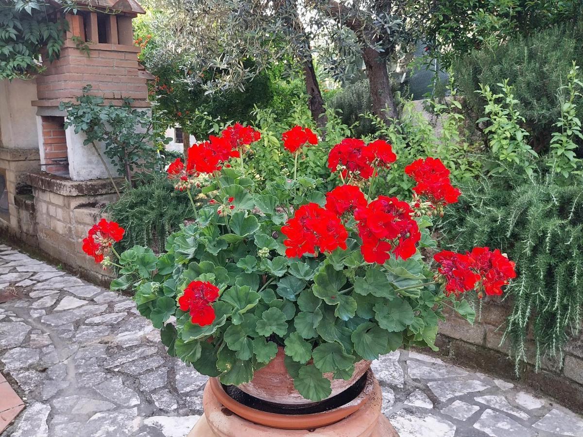 Appartamento Casa di Giulia  Santa Luce Esterno foto