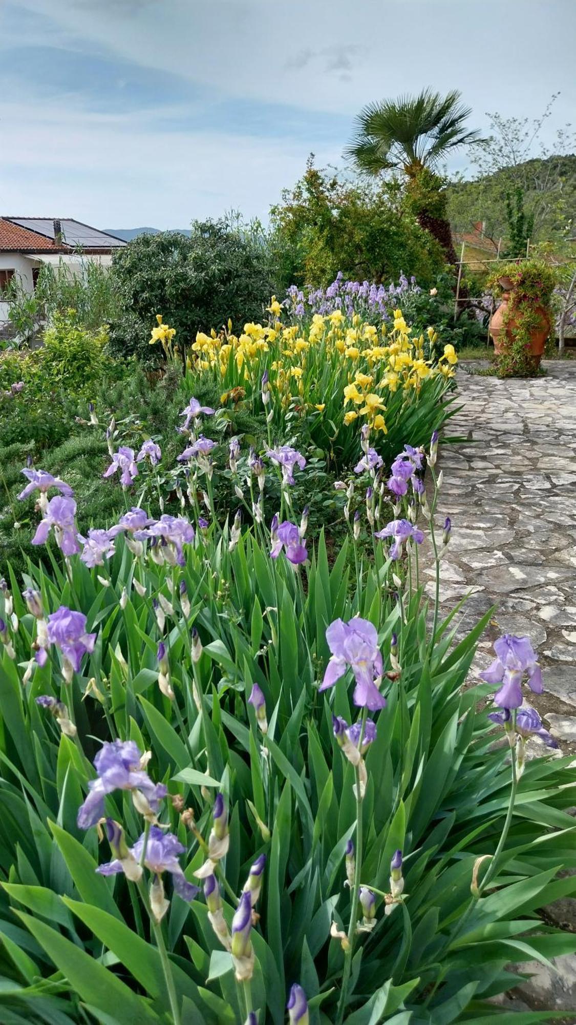Appartamento Casa di Giulia  Santa Luce Esterno foto